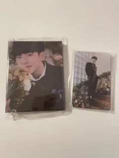 【ホシ】FML Carat盤 SEVENTEEN