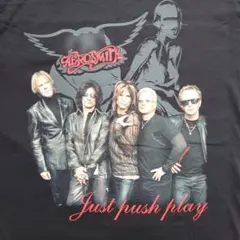 USA製 エアロスミス x ジョーイマーズ 半袖 ツアー Tシャツ カットソー