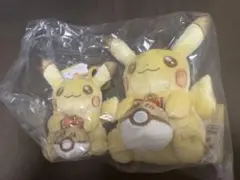ポケモン30周年記念 ピカピカ！ピカチュウ ぬいぐるみ&マスコット