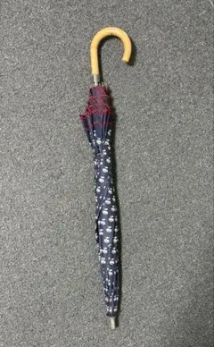 Vivienne Westwood 傘 晴雨兼用 パゴダのサムネイル