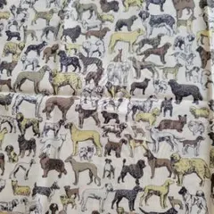 リバティ　タナローン『Best in Show ベスト・イン・ショウ』犬