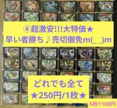 ④超激安！大特価！最安値☆早い者勝ち✨激安特価250円〜☆2枚〜選択要♪