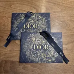 DIOR ショッパー　2袋セット