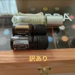 2026年最新】ドテラ サルベルの人気アイテム - メルカリ
