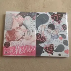 はやし燈先生　愛で縫ってキスでふさいで　ほとなか先生　恋のゴースト