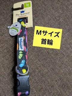 Item thumbnail for item 2e136ce2-20e7-493c-bc75-aefa48cfe98e