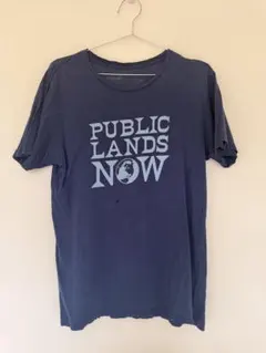 パタゴニアメンズ・パブリック・ランズ・ナウ・オーガニック・Tシャツ