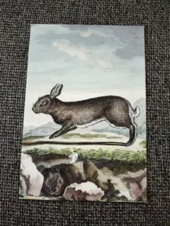 ボリス雑貨店 レター