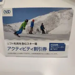 ③アクティビティ割引券　日本駐車開発　1枚