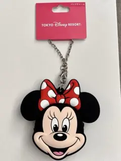 ＊新品未使用＊東京ディズニーランド　バッグチャームケース付き　ミニー