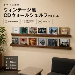 無垢材のCDディスプレイレール 6枚用1本 CDラック 収納 ウォール