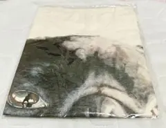 嵐 大野智 FREESTYLE Tシャツ レギュラーサイズ