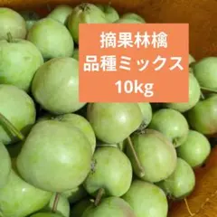 摘果林檎　サンふじりんご他　加工用　10kg 送料込み 40のサムネイル