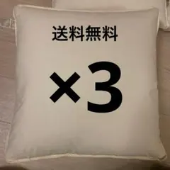 Francfranc フェザー100% クッション 3個 45cm