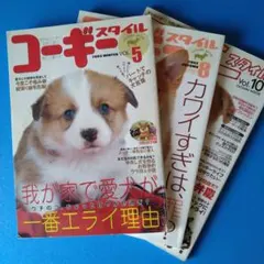 コーギースタイル　３冊　vol.５　８　１０　中古本 雑誌