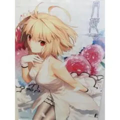 2026年最新】月姫 未開封の人気アイテム - メルカリ