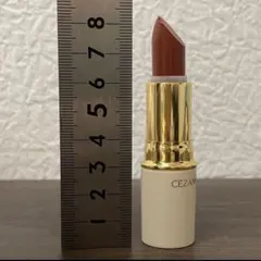 セザンヌ ラスティング リップカラーN 504