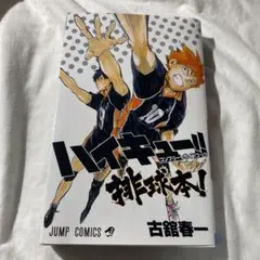 ハイキュー!! コンプリートガイドブック 排球本!
