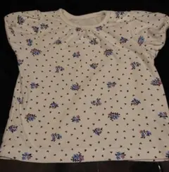 Item thumbnail for item e4a68209-ff2f-4a8a-a5db-ff1f43e590ec