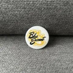 BLUE ENCOUNT 缶バッジのサムネイル