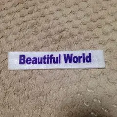 嵐 Beautiful World 落下物