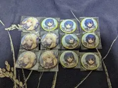fgo スペースイシュタル 缶バッジ ポートレイト 霊基缶 | Mercari