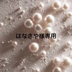 はなさや様専用ページ