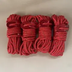 Item thumbnail for item c3eafbbe-bd59-42bc-a5de-9ca39bf55b35