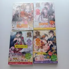 鬼の花嫁　小説版1〜4巻セット