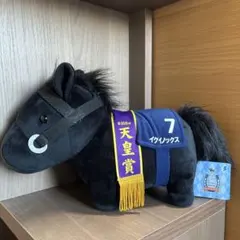 GⅠ 6勝　世界レーティング1位　 イクイノックス（父キタサンブラック）