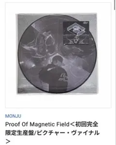 Proof Of Magnetic Field LP レコード