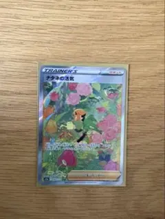 Item thumbnail for item 4f51e4ec-b3bd-4633-91e1-c15cae01f17d