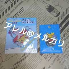 ポケモンセンターサッポロ 札幌 ロゴピンズ 15個セット 缶バッジ ポケモンセンターサッポロ 札幌 ロゴピンズ 15個セット 缶バッジ