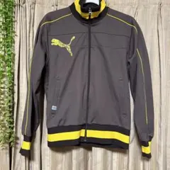 Puma フルジップジャケット ライムグリーン/グレー 00s Puma フルジップジャケット ライムグリーン/グレー 00s - メルカリ