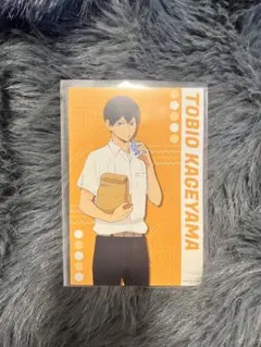 Tobio Kageyama ポストカード 影山飛雄 お昼休み