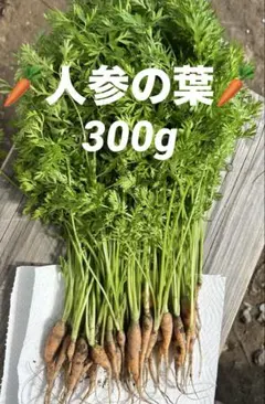 人参の葉　農薬不使用　300gのサムネイル