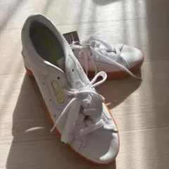 Item thumbnail for item 40b36c46-0075-4d57-bc39-ddfd8648adec