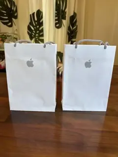 Apple紙袋 ショッパー 小サイズ 2枚