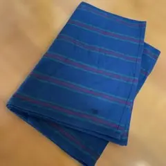 Item thumbnail for item 4afae0d5-651e-4234-803f-46be47f94000