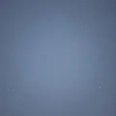 専用
