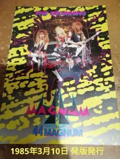 2026年最新】44マグナム バンドスコアの人気アイテム - メルカリ