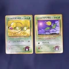 【旧裏】エリカのマダツボミ 2種