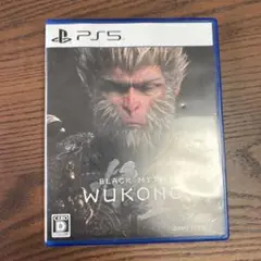 PS5 黒神話:悟空