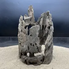MMW-6463 特大マシンガンウッド　流木　アクアリウム MMW-6463 特大マシンガンウッド 流木 アクアリウム - メルカリ