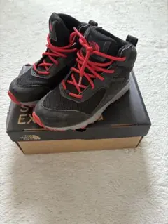 ザ・ノース・フェイス ヘッジホッグ ハイカー II ミッドウォータープルーフ