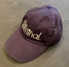 The Terminal cap Dreamworks skg