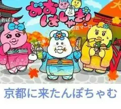 ちゃむ〜♡】おぱんちゅうさぎ♡んぽちゃむきみまろ フレンズBOXセット