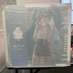 初音ミク NT風私服Ver. 1/6スケール プラスチック製 フィギュア