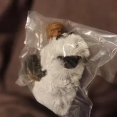 パペットスンスン フィンガーパペットぬいぐるみ ゾンゾン