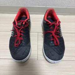 NIKE ルナガト